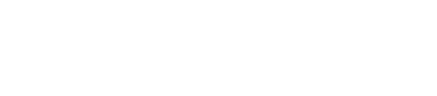 The Guitammer Company